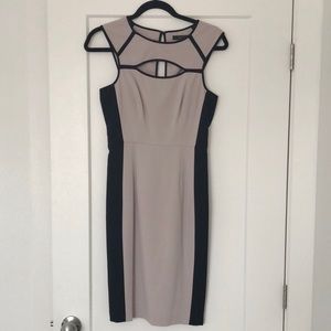 BCBG Dress